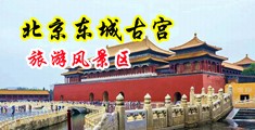黄色片交配灌醉操逼中国北京-东城古宫旅游风景区